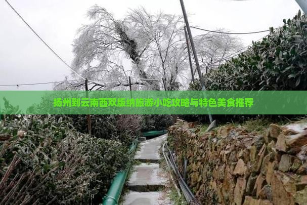 扬州到云南西双版纳旅游小吃攻略与特色美食推荐