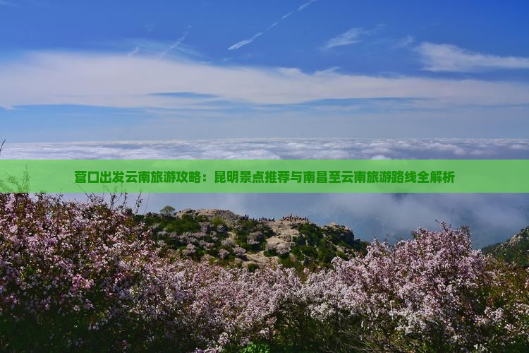 营口出发云南旅游攻略：昆明景点推荐与南昌至云南旅游路线全解析