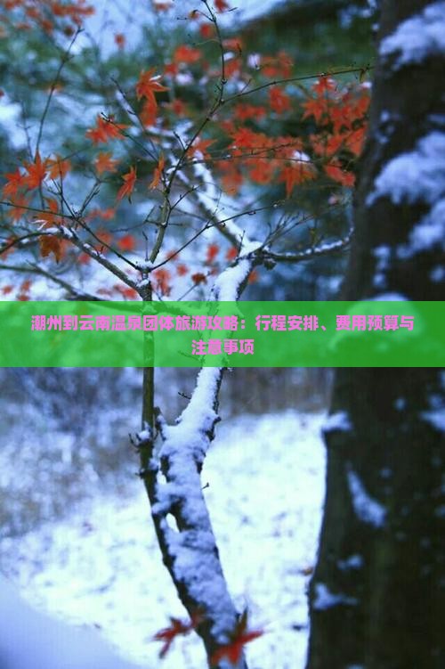 潮州到云南温泉团体旅游攻略：行程安排、费用预算与注意事项
