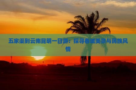 五家渠到云南昆明一日游：探寻春城美景与民族风情