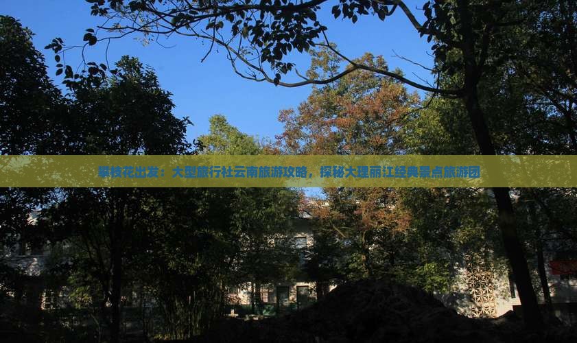 攀枝花出发：大型旅行社云南旅游攻略，探秘大理丽江经典景点旅游团