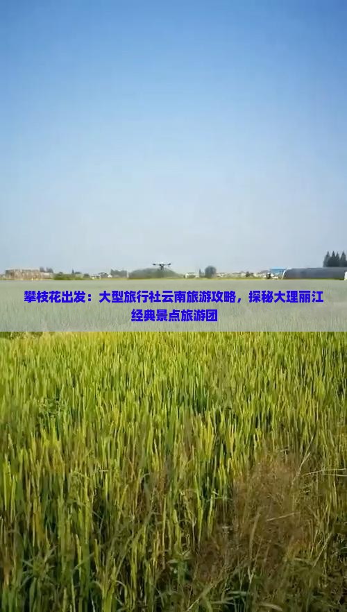 攀枝花出发：大型旅行社云南旅游攻略，探秘大理丽江经典景点旅游团