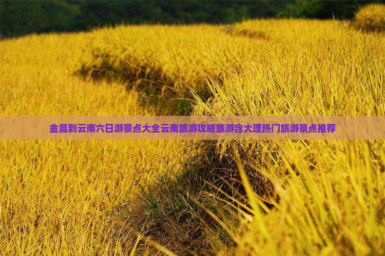 金昌到云南六日游景点大全云南旅游攻略旅游含大理热门旅游景点推荐