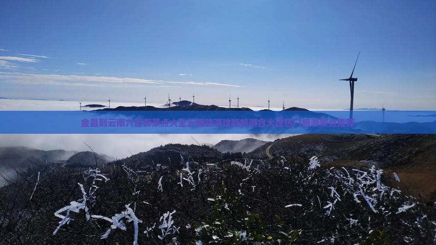 金昌到云南六日游景点大全云南旅游攻略旅游含大理热门旅游景点推荐