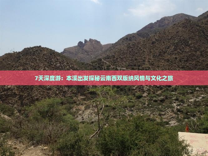 7天深度游：本溪出发探秘云南西双版纳风情与文化之旅