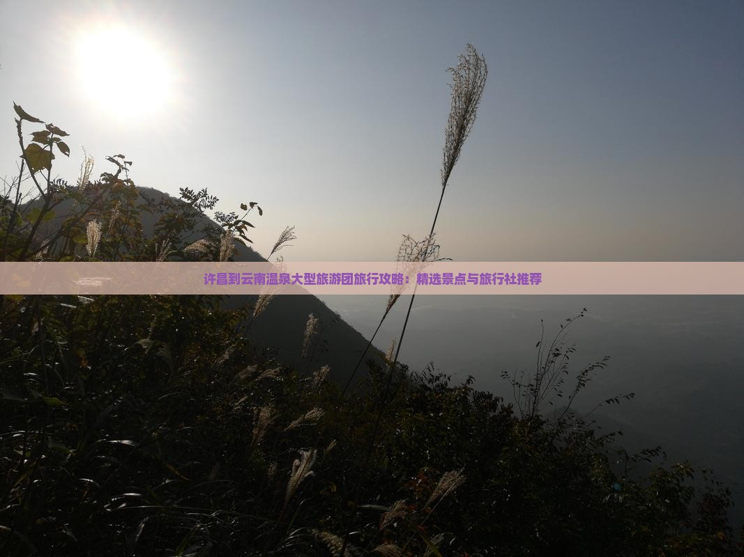 许昌到云南温泉大型旅游团旅行攻略：精选景点与旅行社推荐