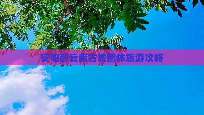 安阳到云南古城团体旅游攻略