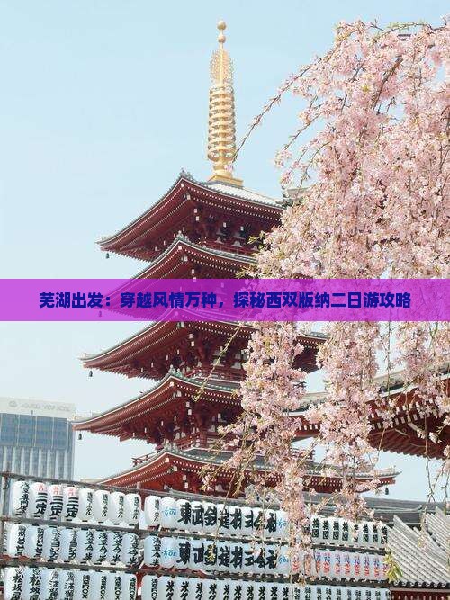 芜湖出发：穿越风情万种，探秘西双版纳二日游攻略