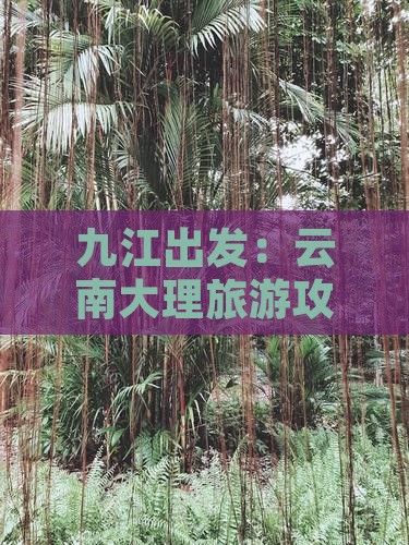 九江出发：云南大理旅游攻略及热门景点