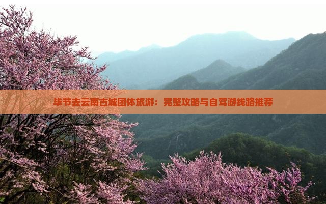 毕节去云南古城团体旅游：完整攻略与自驾游线路推荐