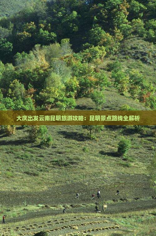 大庆出发云南昆明旅游攻略：昆明景点路线全解析