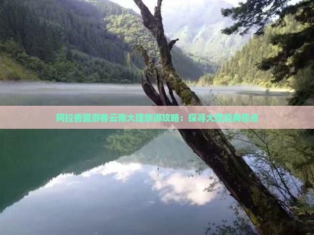 阿拉善盟游客云南大理旅游攻略：探寻大理经典景点
