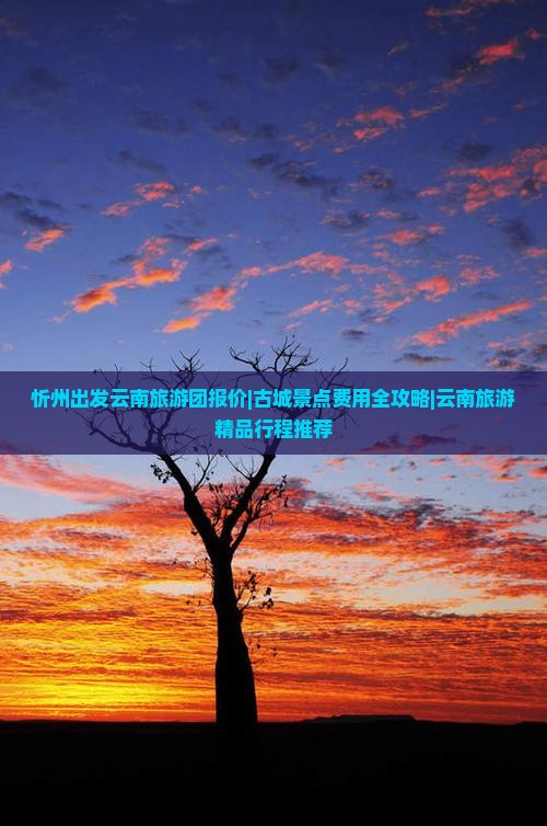 忻州出发云南旅游团报价|古城景点费用全攻略|云南旅游精品行程推荐