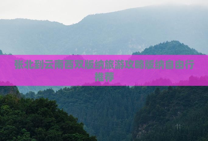 张北到云南西双版纳旅游攻略版纳自由行推荐