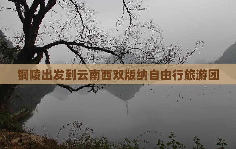 铜陵出发到云南西双版纳自由行旅游团