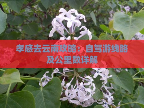 孝感去云南攻略：自驾游线路及公里数详解