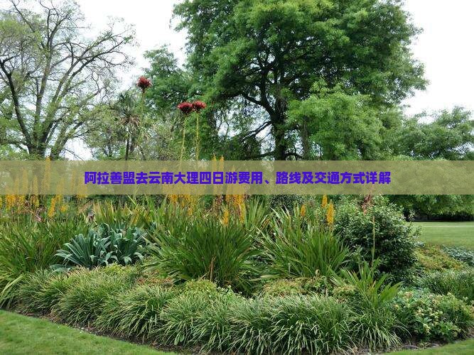 阿拉善盟去云南大理四日游费用、路线及交通方式详解