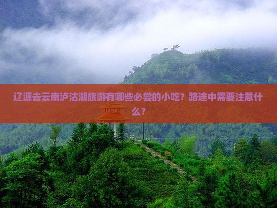 辽源去云南泸沽湖旅游小吃
