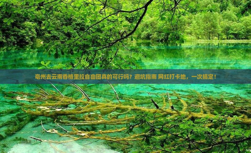 亳州去云南香格里拉自由团