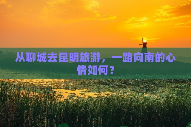 聊城到云南昆明旅游