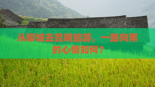 聊城到云南昆明旅游