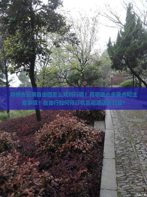 荆州去云南自由团