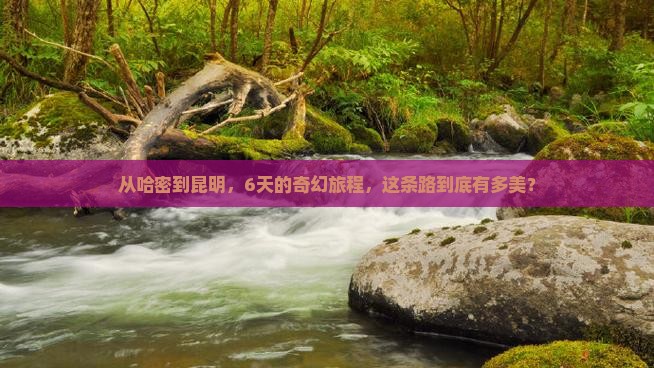 哈密到云南昆明六日游