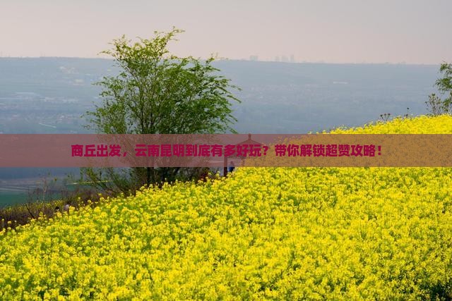 商丘到云南昆明攻略