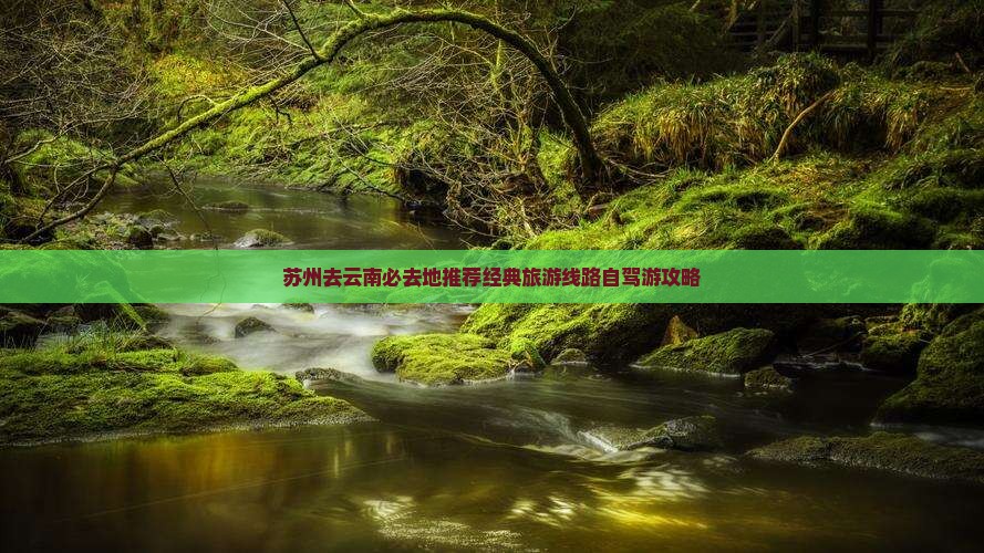苏州去云南必去地