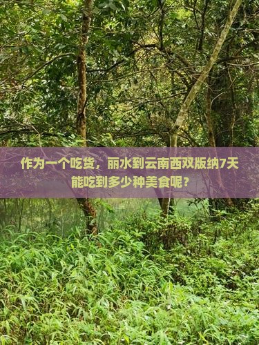 丽水到云南西双版纳七日游