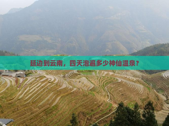 延边到云南温泉四日游