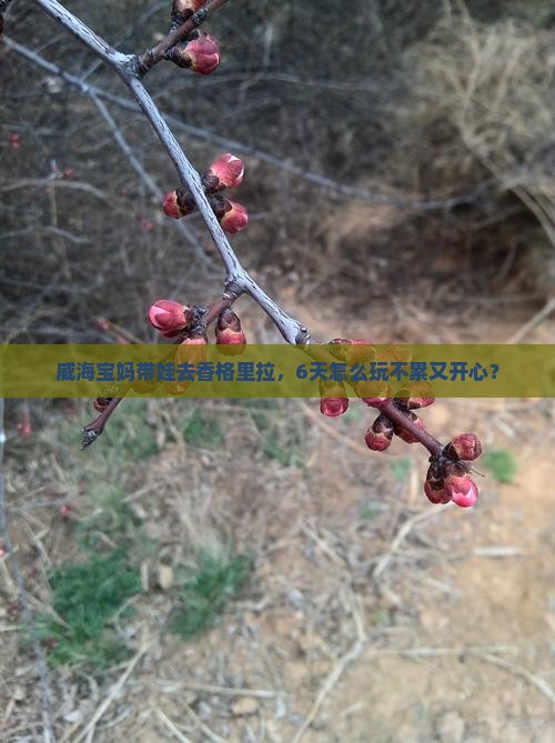 威海去云南香格里拉六日游