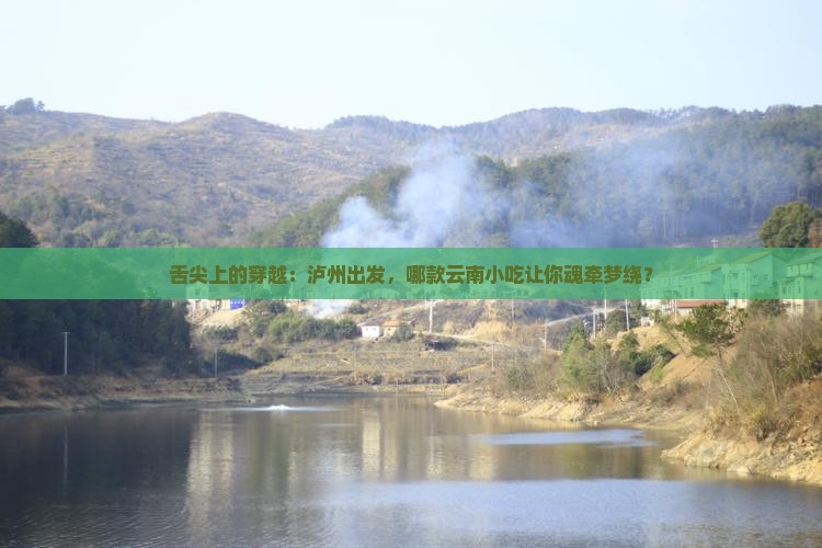 泸州到云南西双版纳旅游小吃