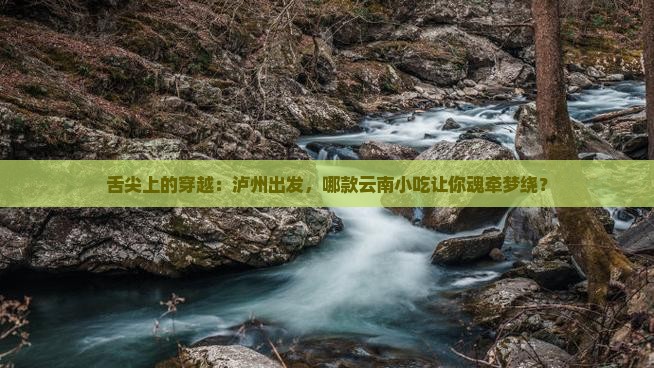 泸州到云南西双版纳旅游小吃
