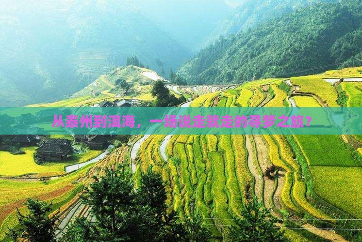 泰州到云南洱海团体旅游