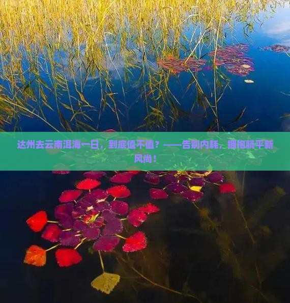 达州去云南洱海一日