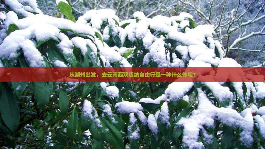 湖州到云南西双版纳自由行