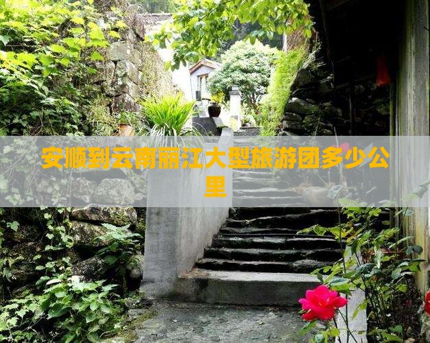 安顺到云南丽江大型旅游团