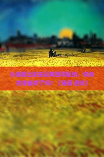 临夏去云南西双版纳景点