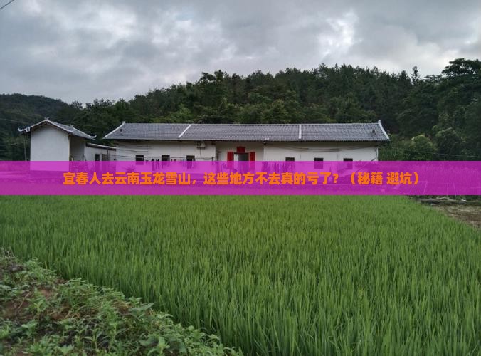 宜春去云南玉龙雪山必去地