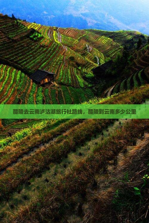 醴陵去云南泸沽湖旅行社