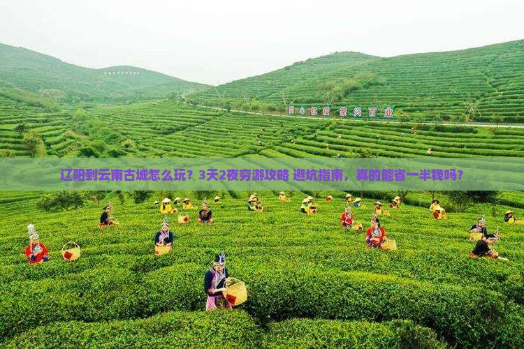 辽阳到云南古城个人游