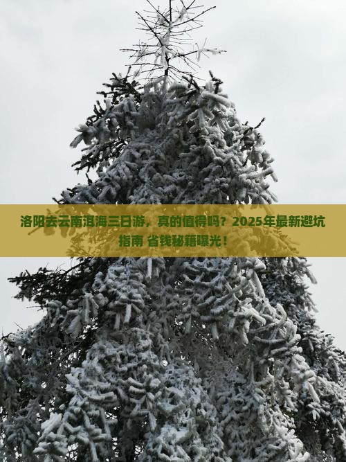 洛阳去云南洱海三日游