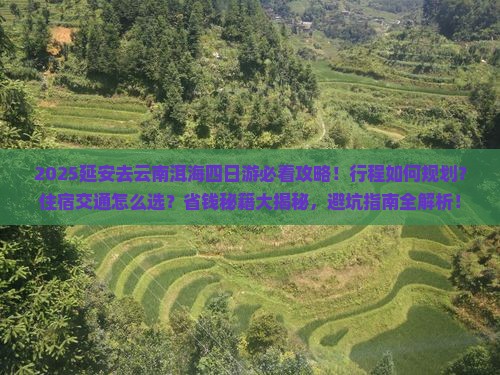 延安去云南洱海四日游