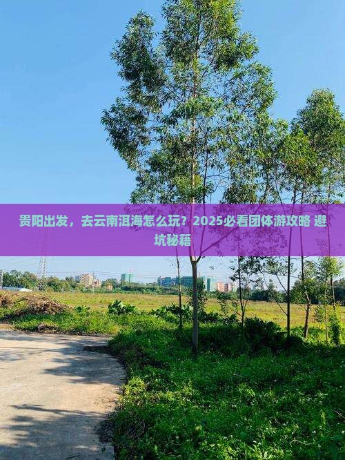 贵阳到云南洱海团体旅游