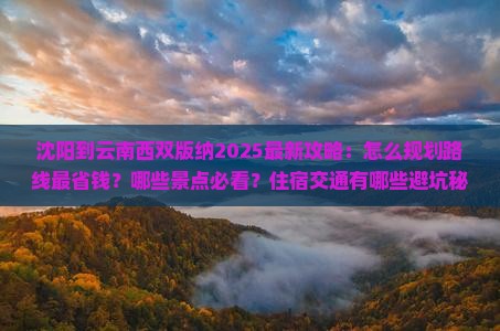 沈阳到云南西双版纳攻略