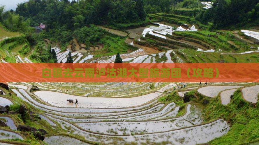 白银去云南泸沽湖大型旅游团