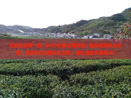 长春去云南一日