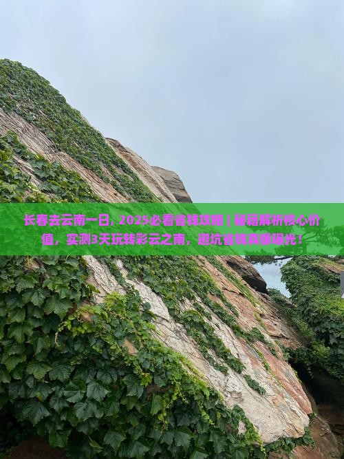 长春去云南一日