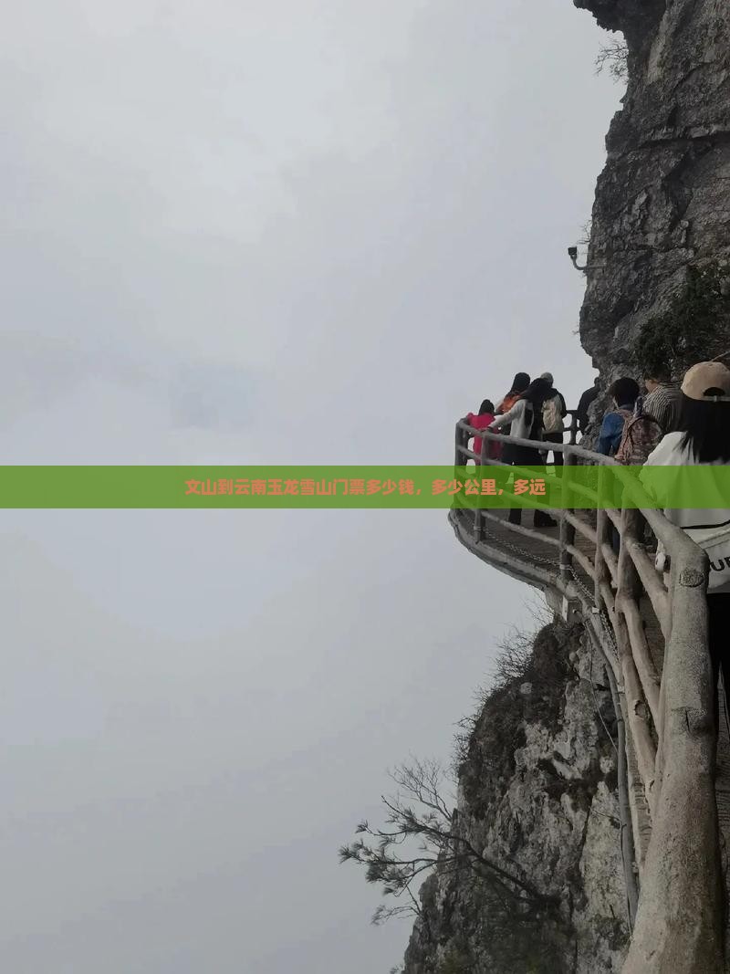 文山到云南玉龙雪山门票